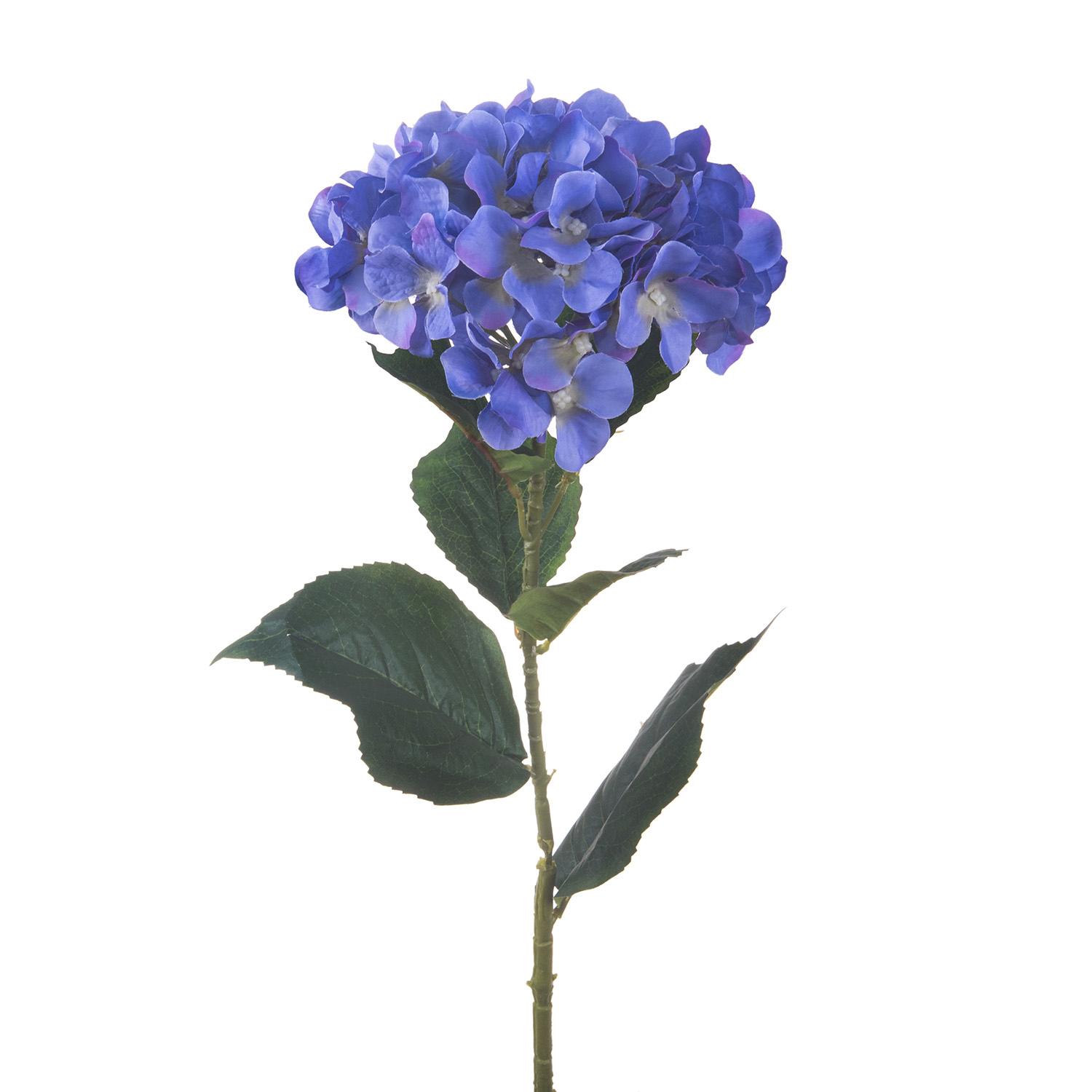 DUR Sabbia e pietra - Onda blu in argento Sterling color argento e turchese, dimensioni: 1 cm, F164, 1cm, argento, Nessuna pietra preziosa DUR Sabbia e pietra - Onda blu in argento Sterling color argento e turchese, dimensioni: 1 cm, F164, 1cm, argento, Nessuna pietra preziosa