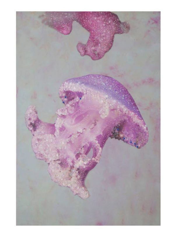 sconto Stampa su Tela con Applicazioni Medusa 80x3,8x120 cm in Legno e canvas