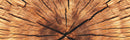 Copriwater Universale in Termoindurente 37x46,6x5 Saniplast Wood-3