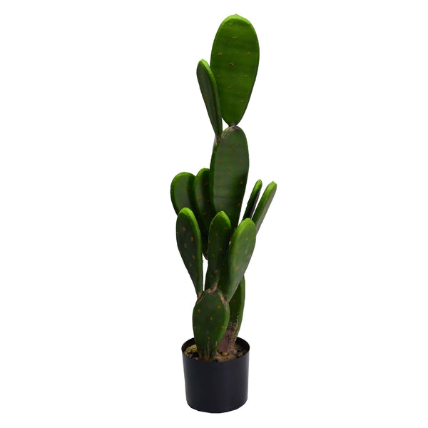 Pianta cactus con vaso tondo cm Ø14xh84 online