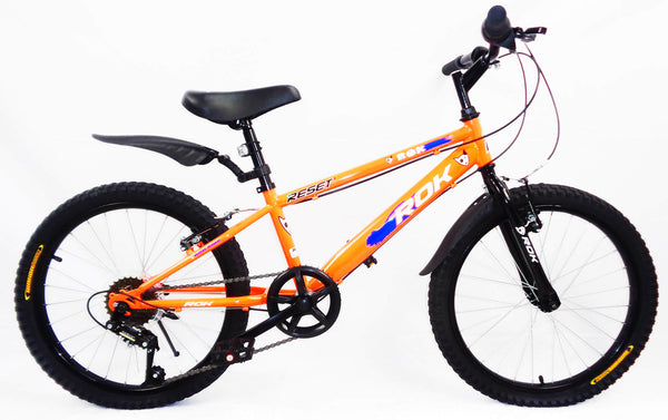 Bicicletta per Ragazzo 20" 6V con Borraccia e Scudetto Frontale Blu e Arancione sconto