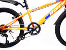Bicicletta per Ragazzo 20" 6V con Borraccia e Scudetto Frontale Blu e Arancione-4