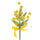 Set 24 Mimose Artificiali Pick con Fiocco Altezza 19 cm Giallo