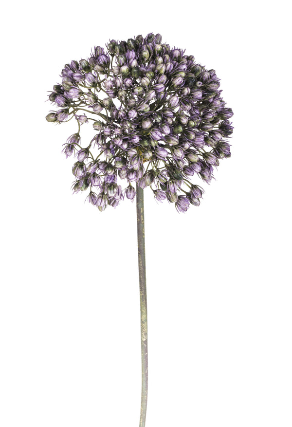 acquista Set 3 Fiori Artificiali di Allium Altezza 65 cm Viola