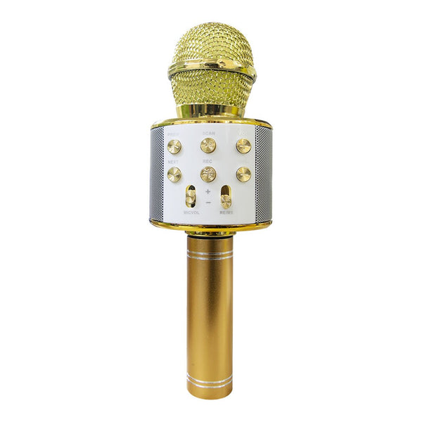 Microfono wireless hifi speaker registra e ascolta le tue canzoni Dorato prezzo
