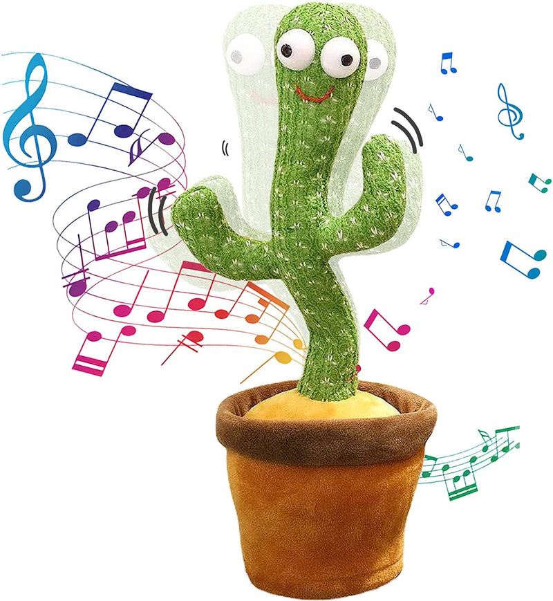 Pianta Danzante Parlante Cactus che Ripete Suoni e Voci-2
