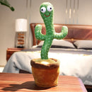 Pianta Danzante Parlante Cactus che Ripete Suoni e Voci-3