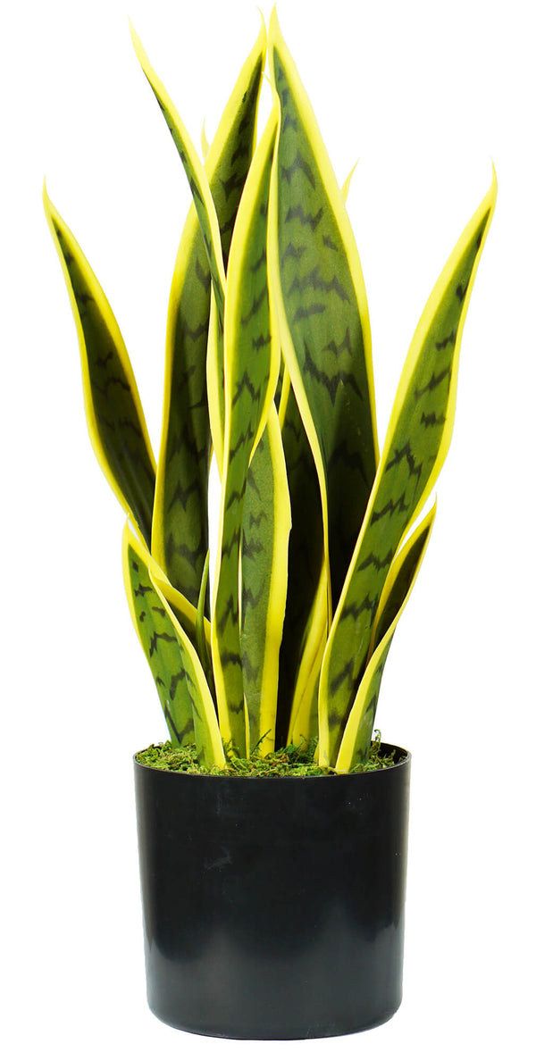 prezzo Pianta Artificiale Sansevieria H45 cm con Vaso Verde