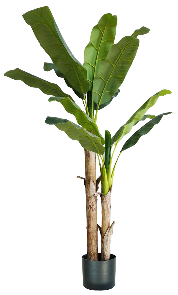 acquista Pianta Artificiale Banano H170 cm con Vaso Verde