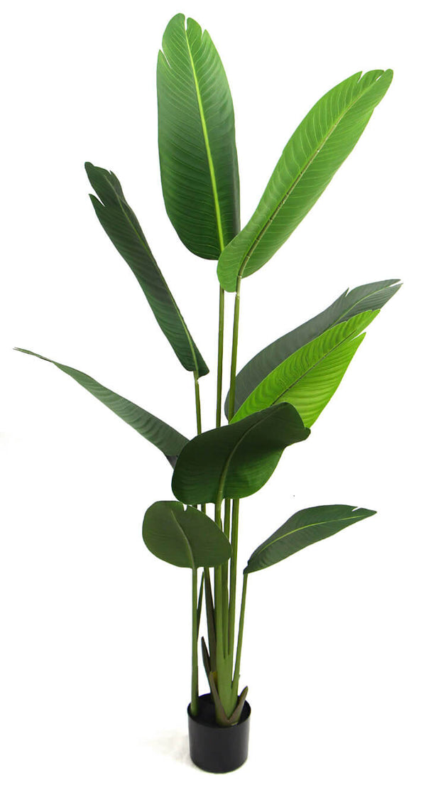 prezzo Pianta Artificiale H160 cm Banano con Vaso Verde
