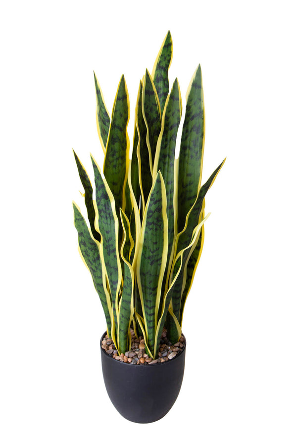 Pianta Artificiale Sanseveria con Vaso 78 cm sconto