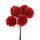 Set 24 Pick con Echinops H14 cm Rosso