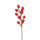 Set 24 Pick Piricantha H22 cm Rosso