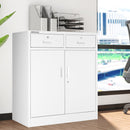 Armadietto  Metallico Porta Documenti 2 Ante 2 Cassetti per Ufficio/Casa in Acciaio Grigio