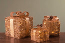 Pacchi Dono 3 Pezzi con 65 Led in Rattan Champagne