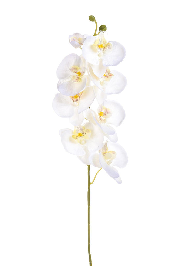 Set 8 Phalaenopsis Artificiali con 8 Fiori Altezza 65 cm Bianco sconto