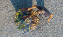 Barbecue a Legna Ø80x78 cm Azalea in Acciaio Nero Alta Temperatura