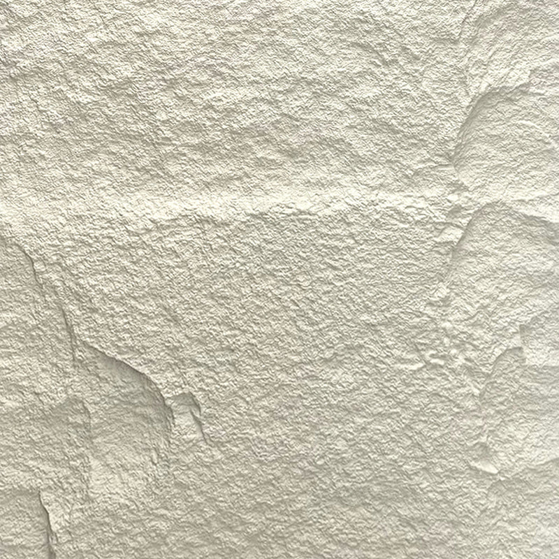 Set 10 Pannelli Decorativi Area 7,2 mq 120x60x3 cm Rivestimento Murale Effetto Pietra Naturale 3D in PU Bianco Leccese