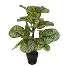 Pianta Artificiale Calathea in Vaso con 22 Foglie H 85 cm