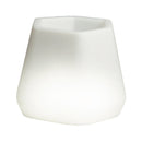 Vaso Luminoso da Giardino a LED 40x35x27 cm in Resina 5W Magnolia Multicolore