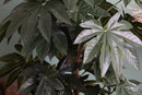 Aralia Artificiale Composta da 60 Foglie Altezza 150 cm Verde