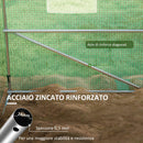 Serra a Tunnel con Sistema di Irrigazione Integrato 6x3m in PE e Acciaio Verde