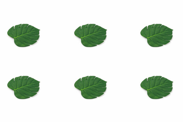 online Set 6 Sottobicchieri Foglia Villa d'Este Home Tivoli Jungle