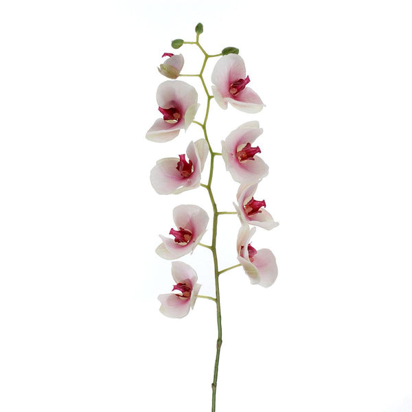 prezzo Phalaenopsis Artificiale Altezza 95 cm Bianco