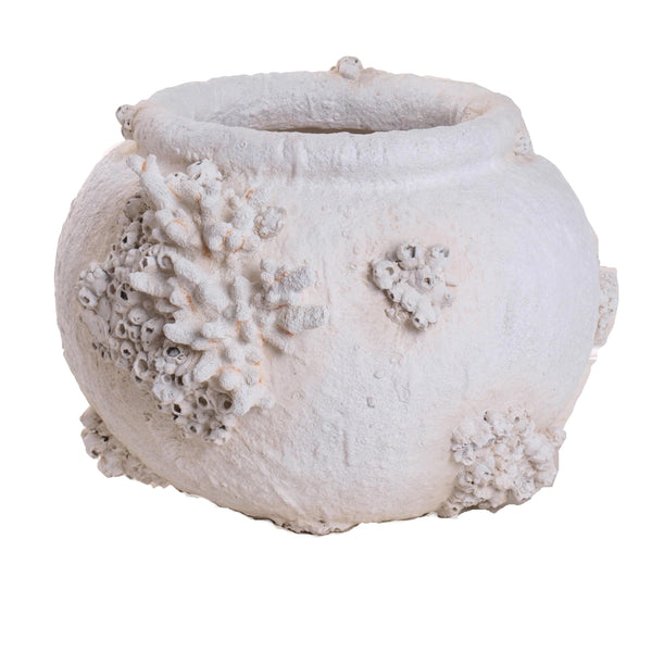 online Vaso Conchiglie e Coralli Ø 56x39 cm