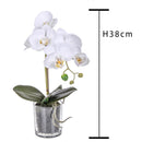 Set 2 Pianta Artificiale di Phalaenopsis Artificiali con Vaso Altezza 38 cm Bianco