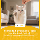 Lettiera per Gatti Chiusa 60L con Coperchio Vassoio Estraibile Paletta Antiperdita Facile da Pulire in PP Grigio      