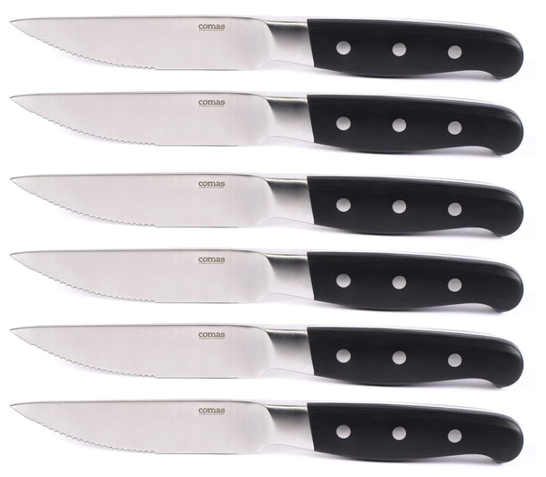 acquista Set 6 Coltelli da Bistecca Lama Seghettata Manico in Legno Aconcagua