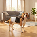 48 Pezzi Pannolini per Cani Maschi Vita 45-64 cm Peso 6-17 kg con Fascia Elastica Regolabile Bianco      