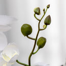 Pianta Artificiale Orchidea H75 cm con Vaso Bianco