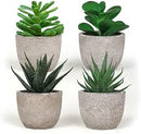 Set 4 Piante Grasse Artificiali con Vaso in Carta Pressata Grigio   
