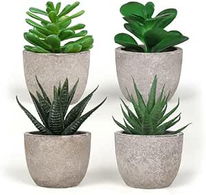 prezzo Set 4 Piante Grasse Artificiali con Vaso in Carta Pressata Grigio