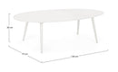 Tavolino da Salotto 120x75x36 cm in Alluminio Ridley Bianco