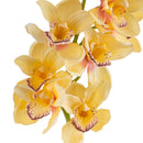 Set 2 Rami Artificiali Cymbidium Real Touch con 10 Fiori e 2 Bocci H 92 cm