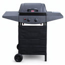 Barbecue a Gas 2 Fuochi 5 kW Griglia BBQ 45x32 cm con Piani Laterali e Ruote in Acciaio Nero      