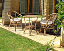 Poltrona da Giardino 54,5x60x80 cm in Rattan con Cuscino Cathina