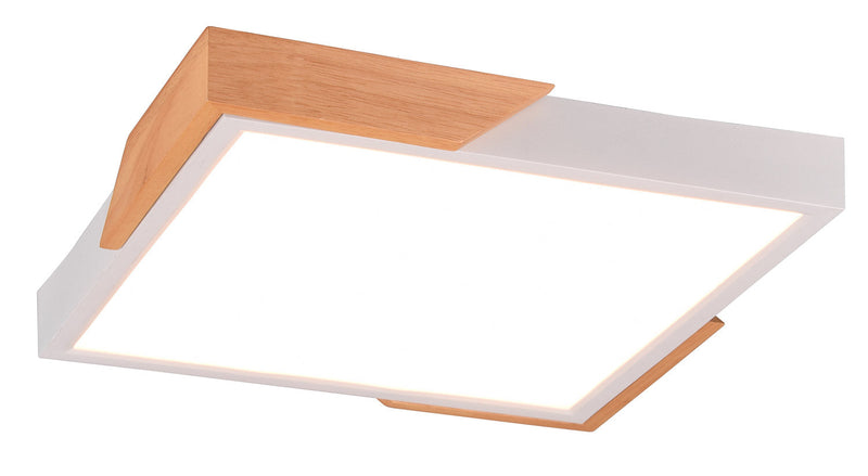 Plafoniera da Interno a LED in Plastica Bianco Opaco