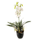 Set 2 Yucca Fiorita Artificiale con Vaso Altezza 73 cm Verde