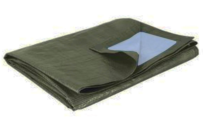 Casetta Box da Giardino 1,8x1,8xh1,8 m in Tessuto Polietilene Rinforzato 195gr/mq Verde