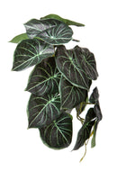 Set 4 Foglie Artificiali Syngonium per 21 Foglie 18 cm 