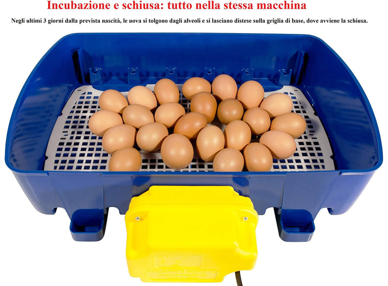 10 Ingranaggi Per Incubatrice Uova – Motore Rotazione, Basso Consumo E Silenzioso