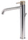 Rubinetto Miscelatore Monocomando Lavabo Alto in Acciaio Inox Maniglia Deserto