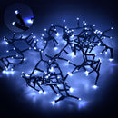 Luci di Natale filo 800 Led bianco freddo controller cm 1600 uso esterno