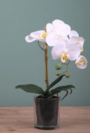 Set 2 Pianta Artificiale di Phalaenopsis Artificiali con Vaso Altezza 38 cm Bianco