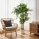 Pianta Artificiale di Baniano Alta 120 cm Verde in PEVA e Legno con Vaso Contenitore in PP e Cemento Bianco      