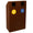 Mobile per Raccolta Differenziata 2 Scomparti 120 L 60x30x96 cm in Acciaio Verniciato Corten